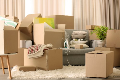 Expert packing techniques and protective materials in use